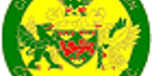 Καερναρφόν Τάουν