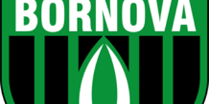 Βιβέν Μπορνόβα
